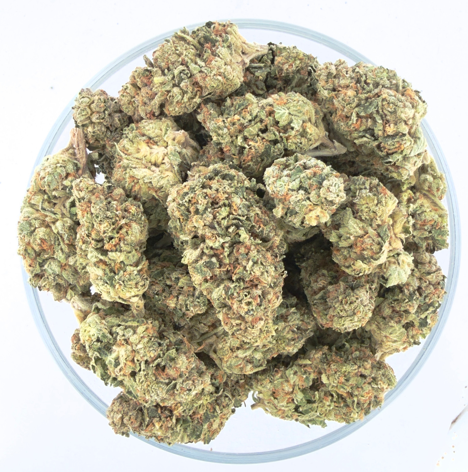 THCa Buds & Flower -Light Dep - Medellin 7G