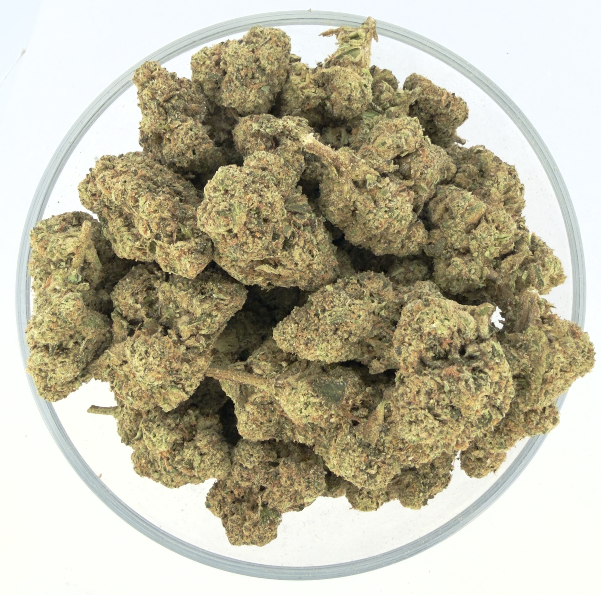 THCa Buds & Flower -Light Dep - Breadstick OG 7G