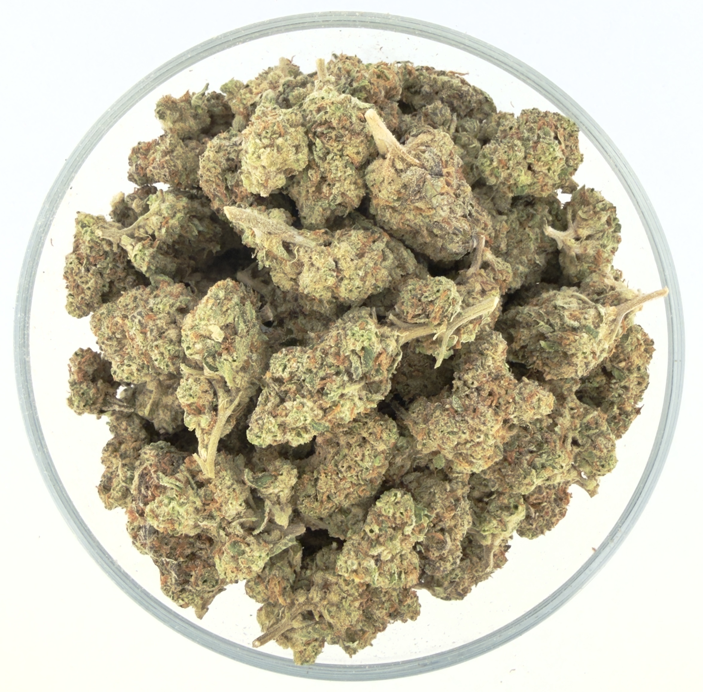 THCa Buds & Flower -Light Dep - Amaretto 7G