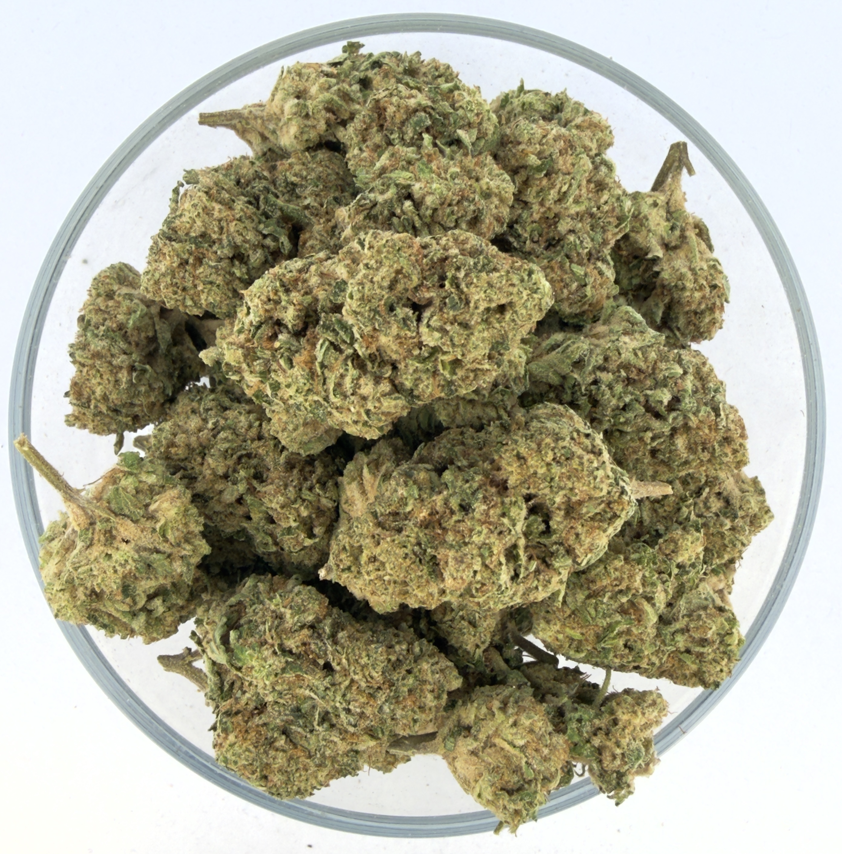 THCa Buds & Flower -Light Dep - Modified Mintz  7G
