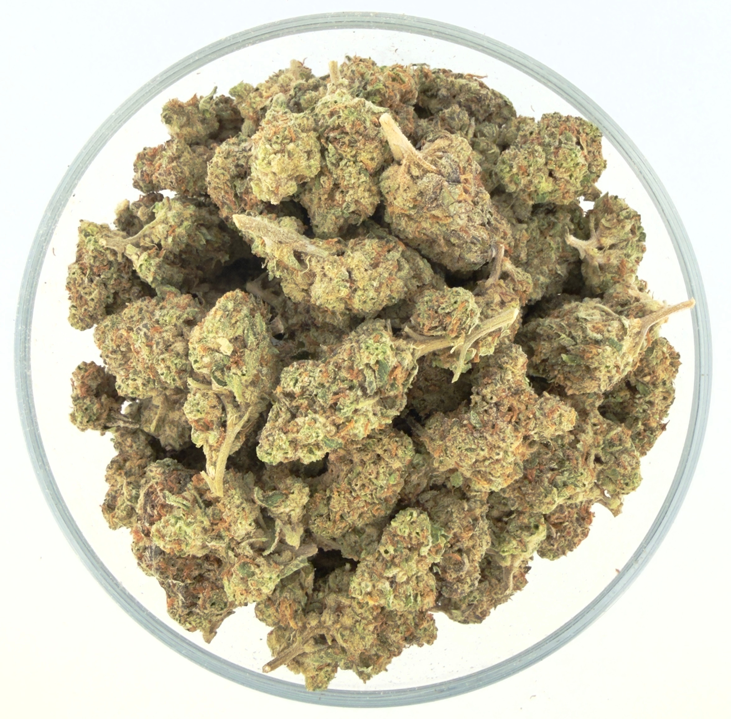 THCa Buds & Flower -Light Dep - G.M.O. 7G