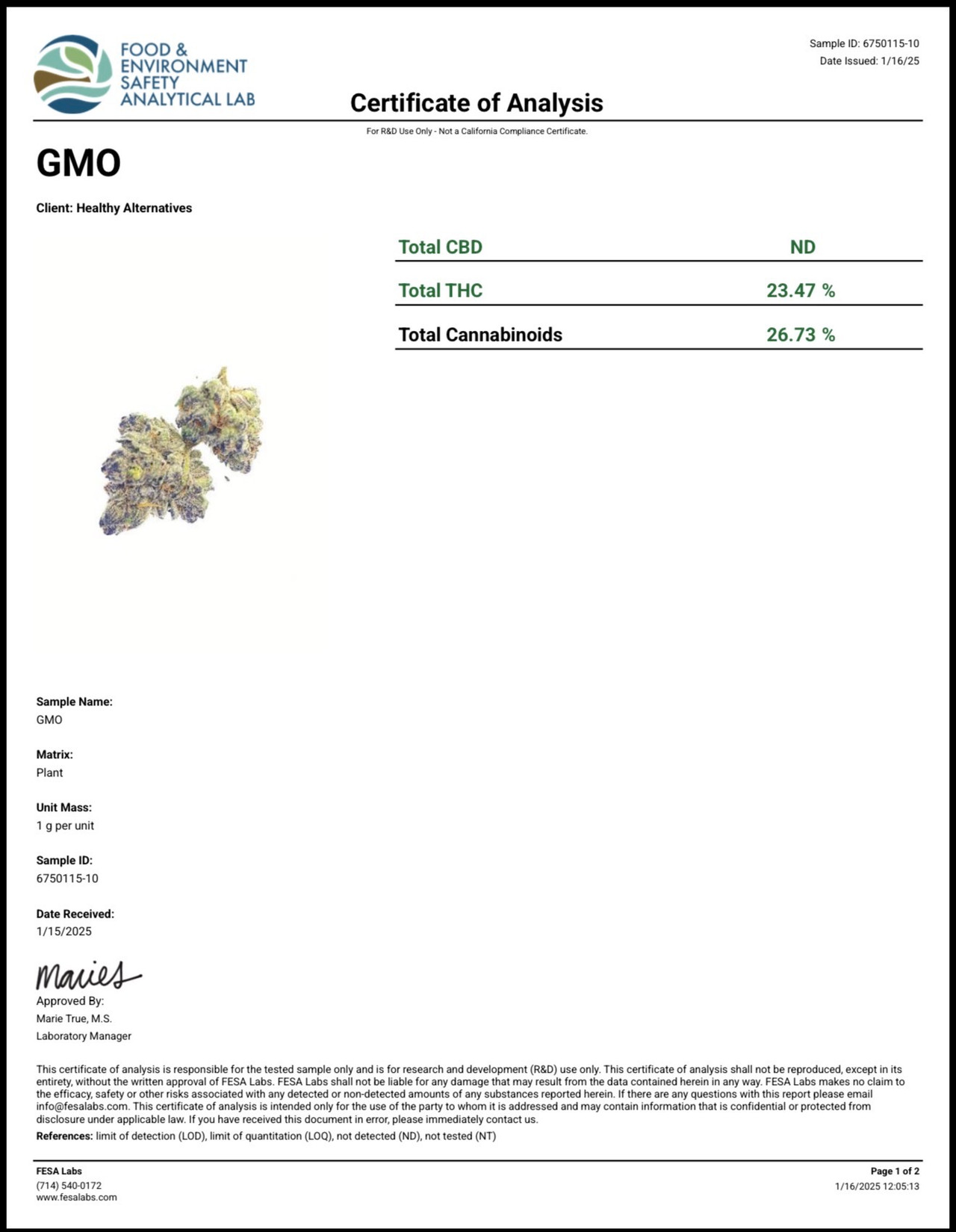 THCa Buds & Flower -Light Dep - G.M.O. 7G — photo 3