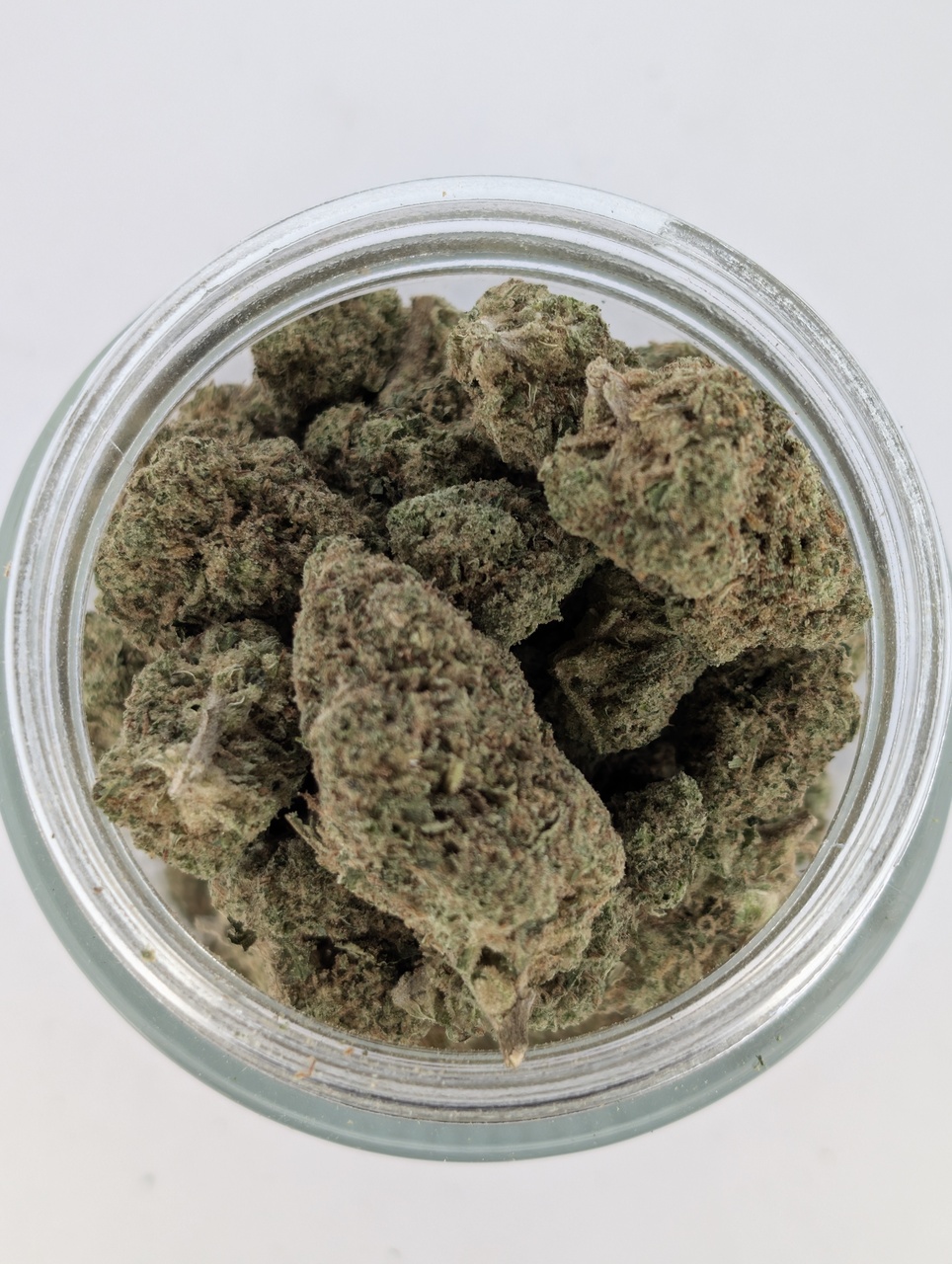 THCa Buds & Flower -Light Dep - Mule Fuel 7G