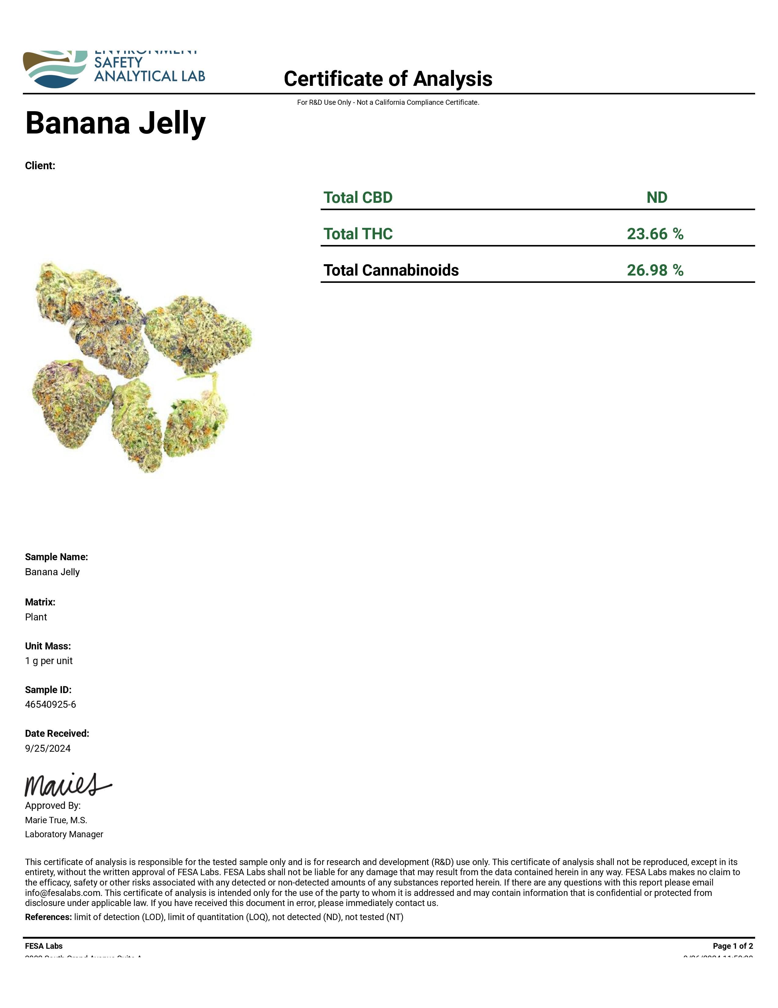 THCa Buds & Flower -Light Dep - Banana Jelly 7G — photo 3