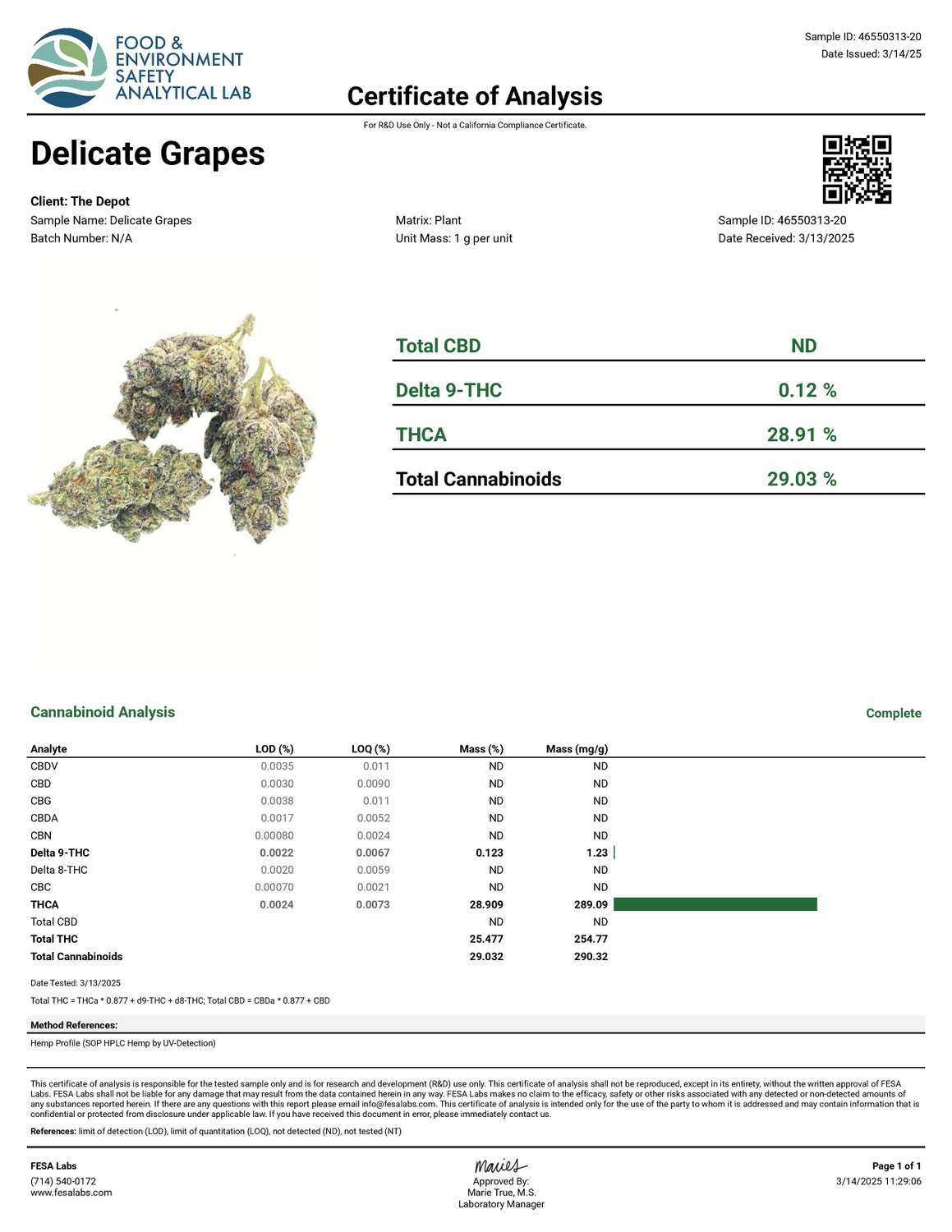 THCa Buds & Flower -Light Dep - Delicata Grapes 7G — photo 3