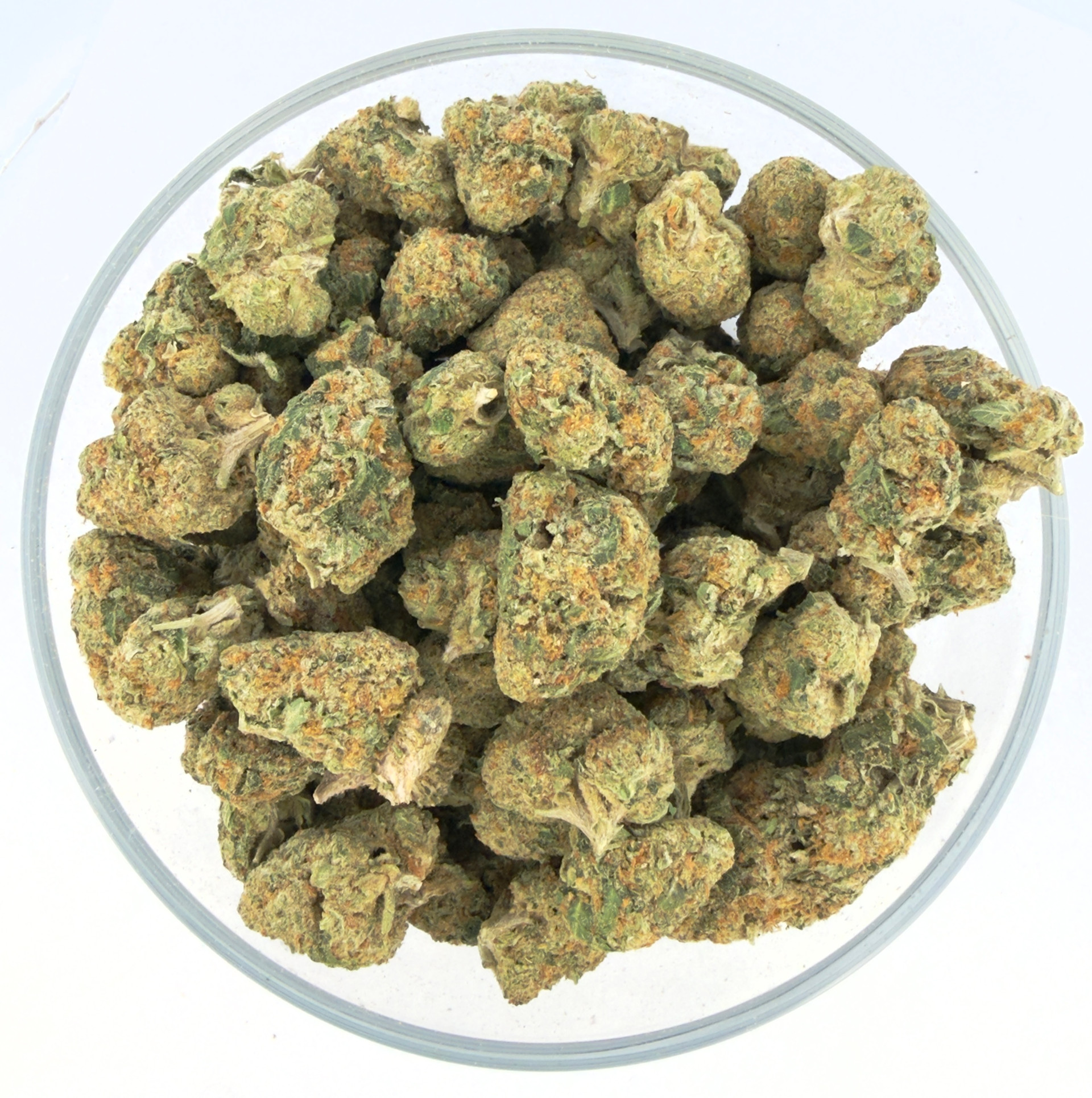 THCa Buds & Flower -Light Dep - Italian Ice 7G