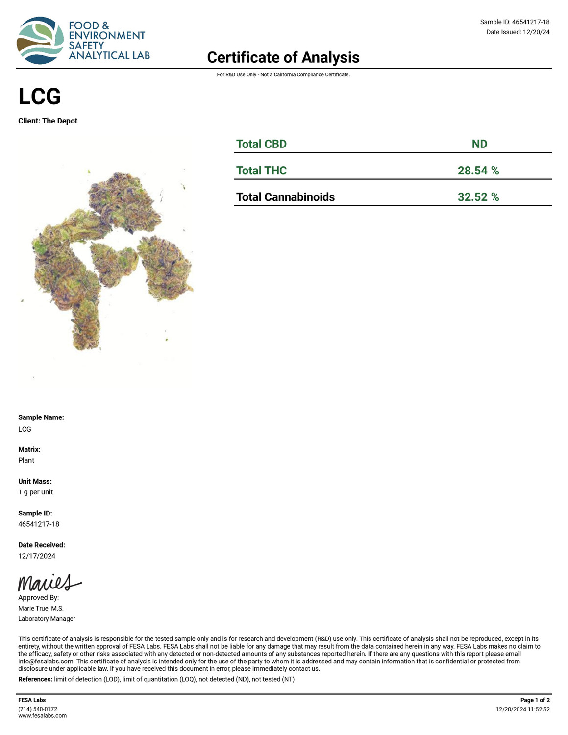 THCa Buds & Flower -Light Dep - LCG (Lemon Cherry Gelato) 7G — photo 3