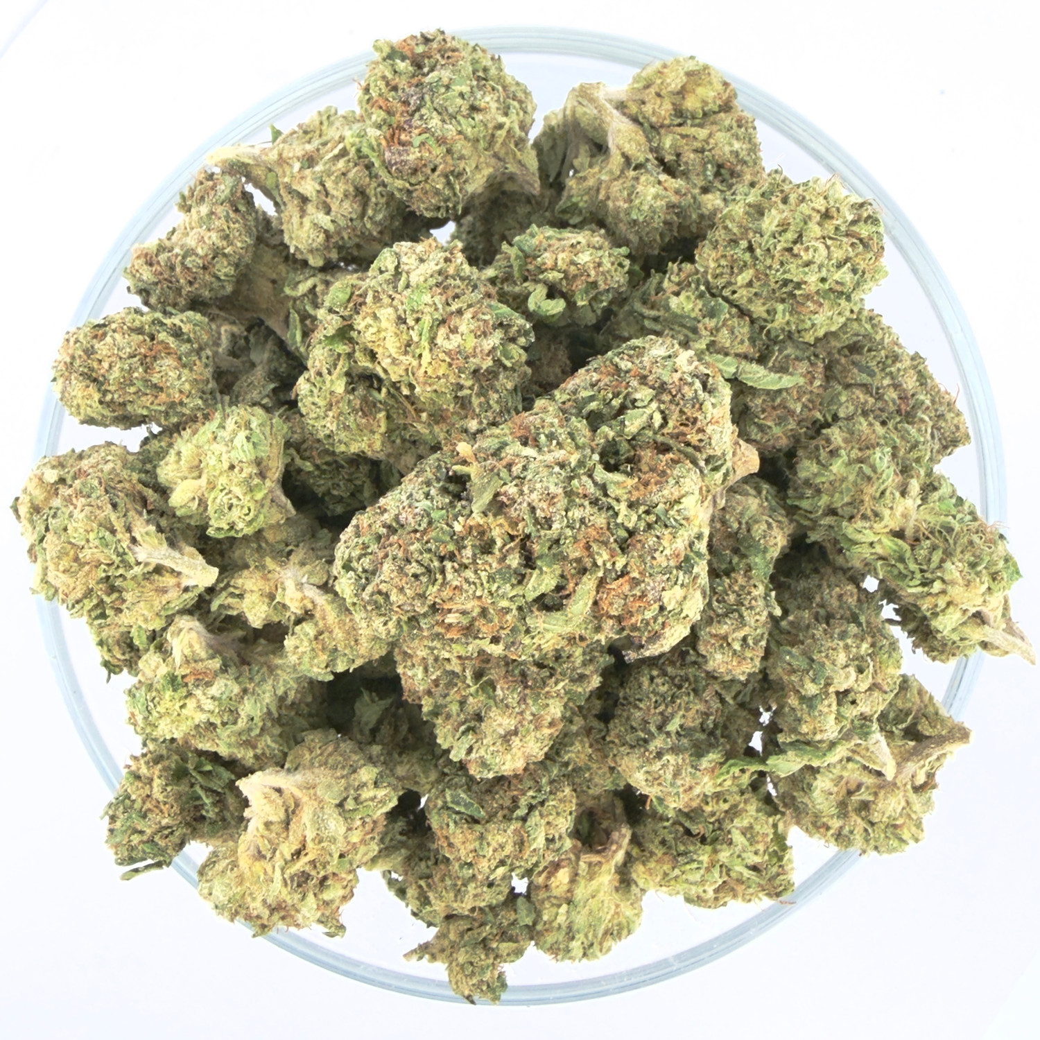 THCa Buds & Flower -Light Dep - Gelato 41- 7G