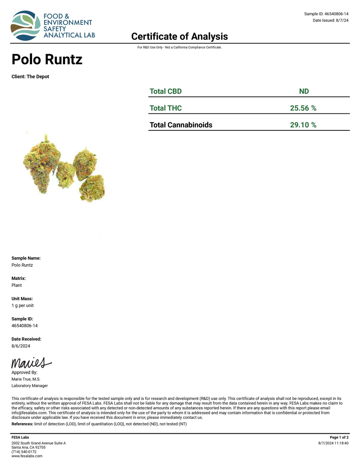 THCa Buds & Flower - Exotic Polo Runtz 7g — photo 3
