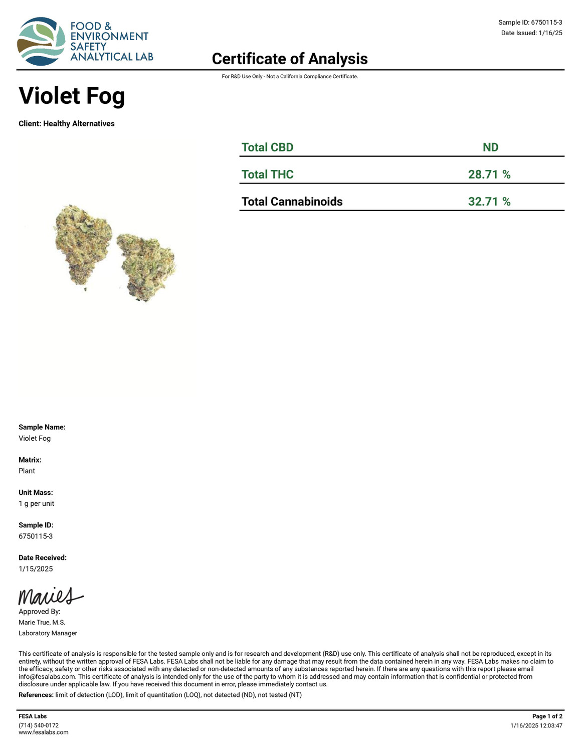 THCa Buds & Flower -Light Dep - Violet Fog 7G — photo 3