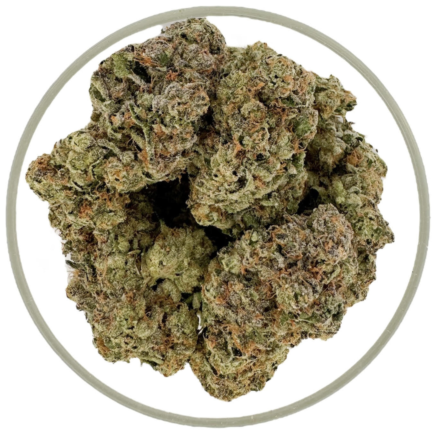 THCa Exotic Buds & Flower - Beignets 7 g