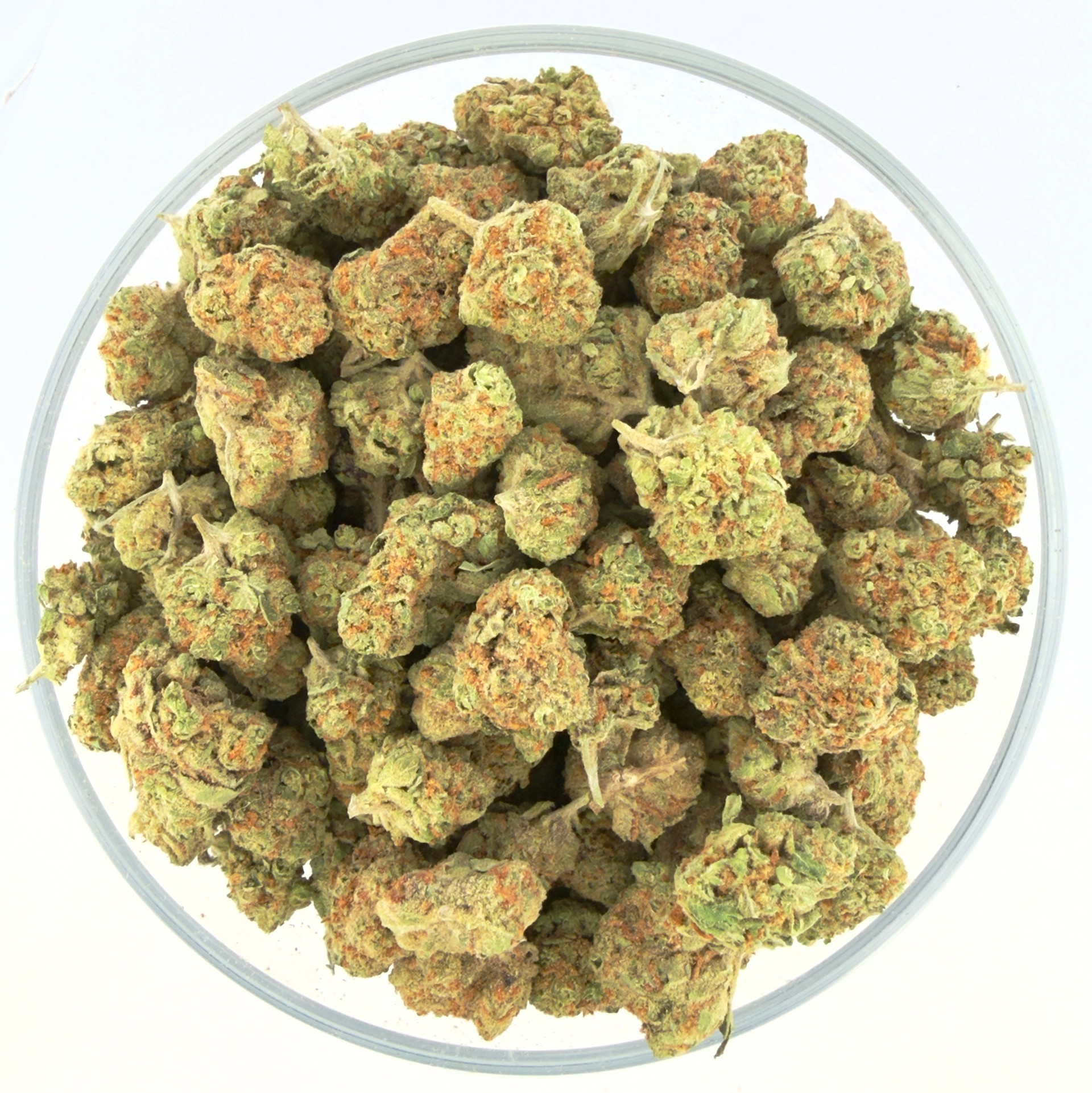 THCa Buds & Flower -Light Dep - Bob Hope 7G
