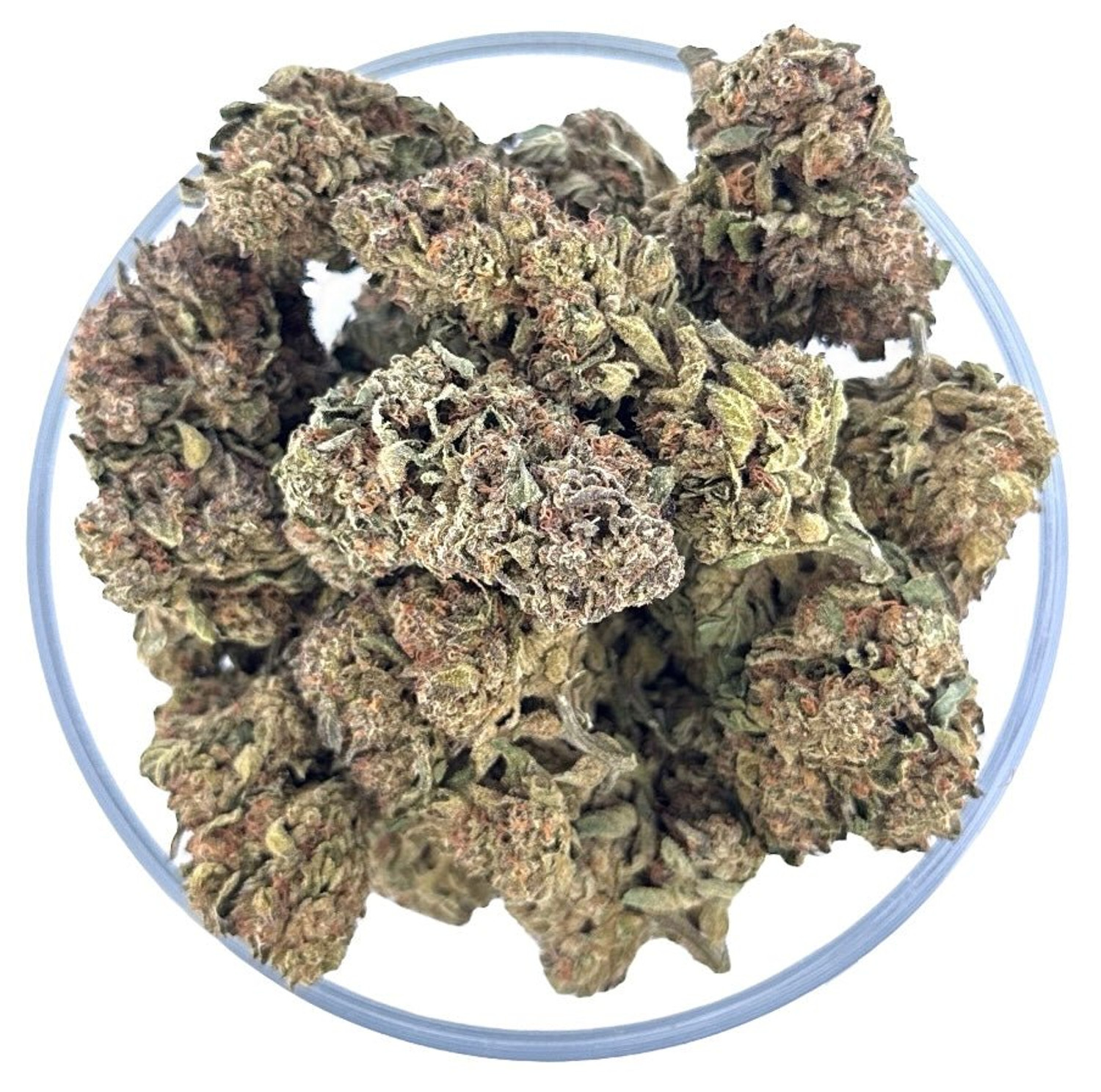 THCa Buds & Flower -Light Dep - Forbidden Fruit 7G