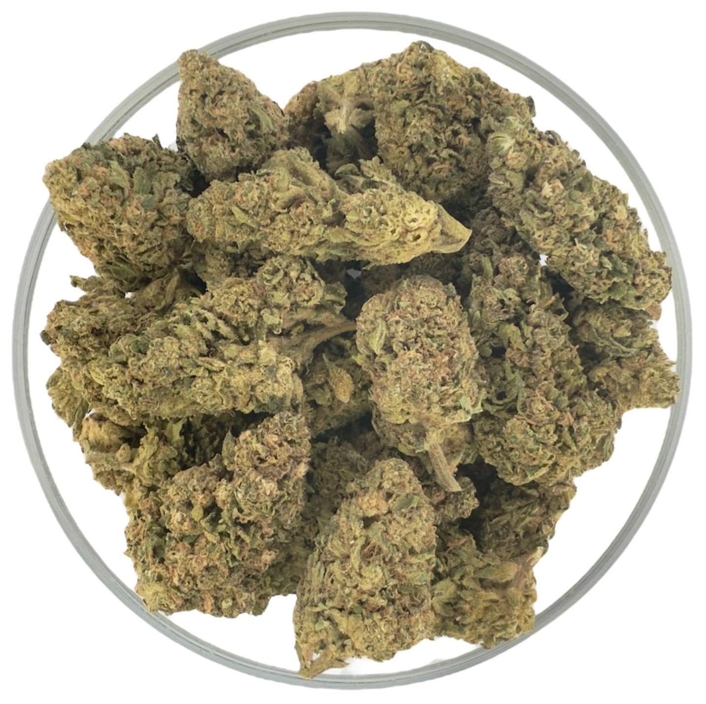 THCa Buds & Flower -Light Dep -White Runtz 7G