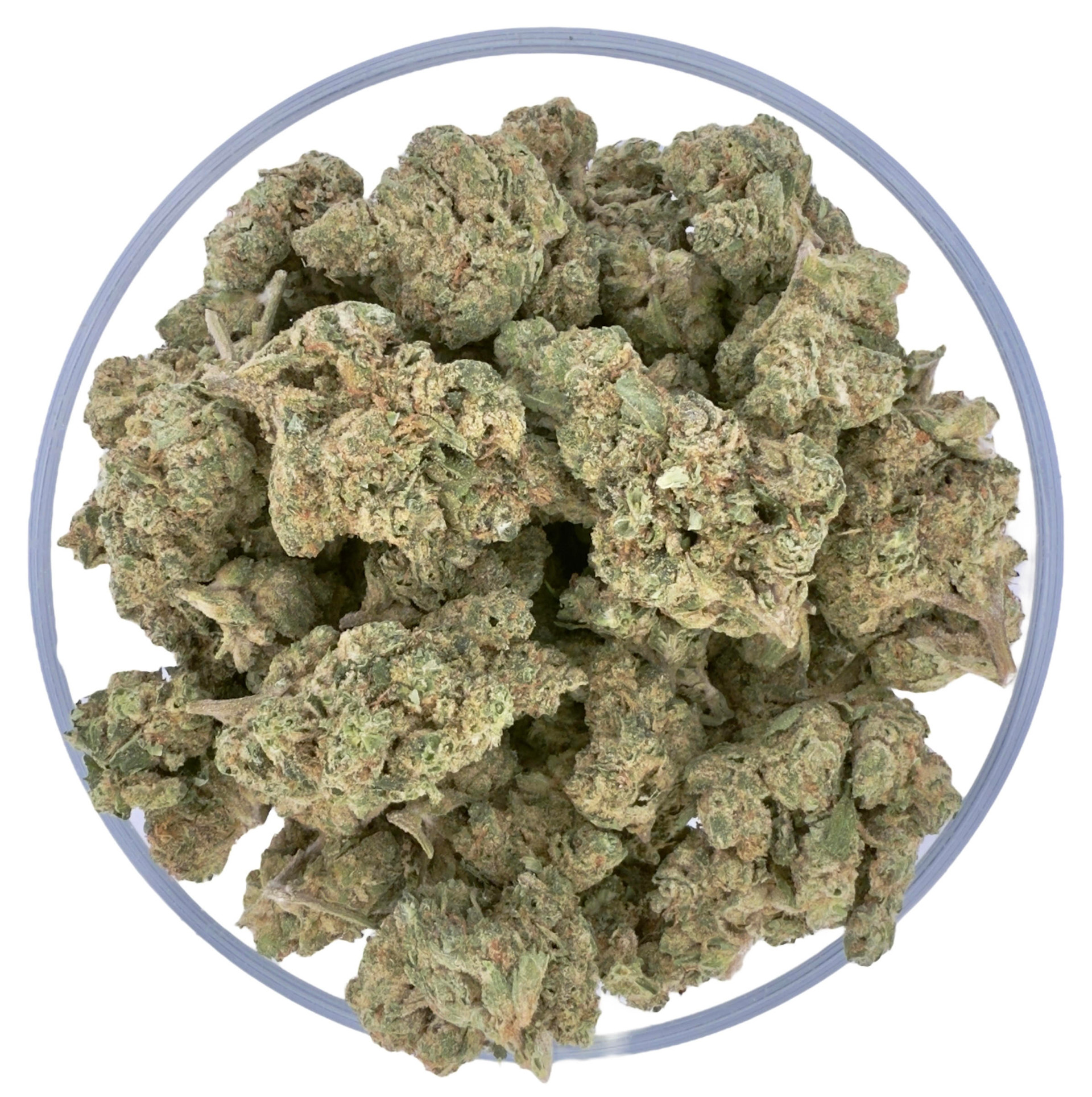 THCa Buds & Flower -Light Dep - Delicata Grapes 7G