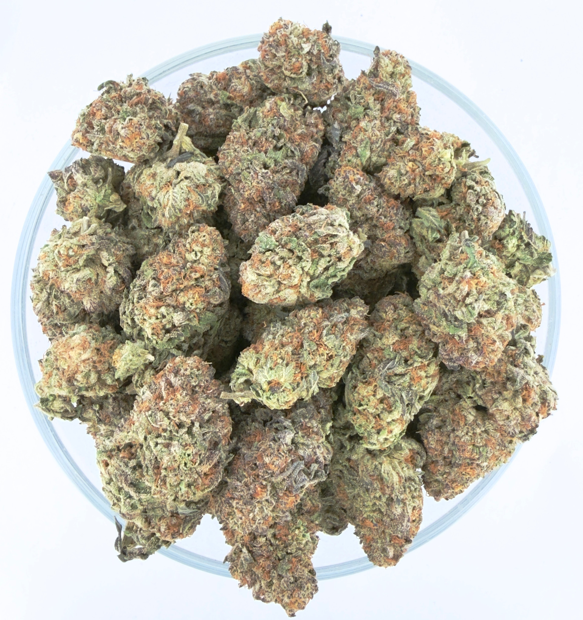 THCa Buds & Flower -Light Dep - Devil Candy  7G