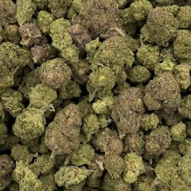 THCa Exotic Buds & Flower - Bangkok Purple 7g