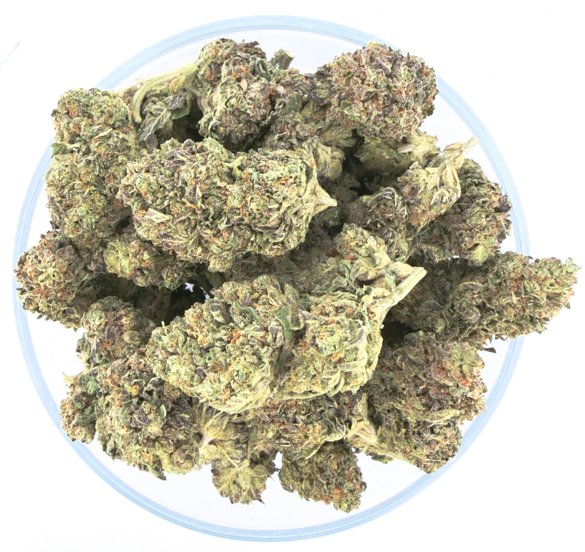 THCa Buds & Flower -Light Dep - Forbidden Runtz 7G