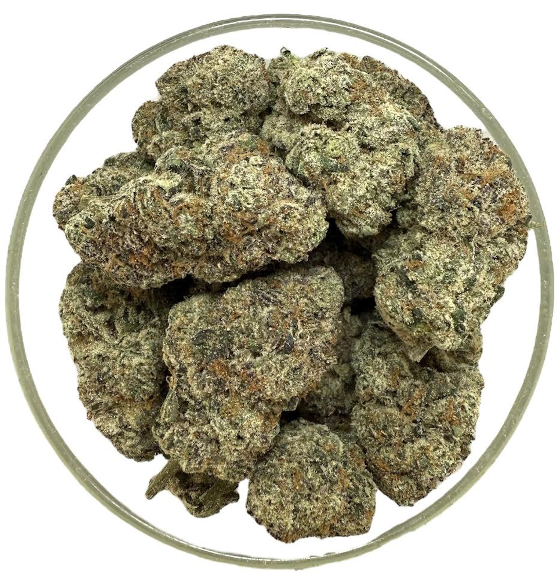 THCa Buds & Flower - Exotic Polo Runtz 7g