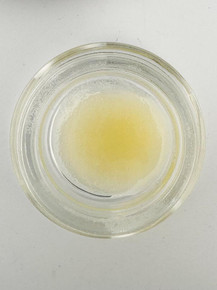 Bearly Legal THCa Badder - 1 Gram Puck - Lemon Cake — photo 4