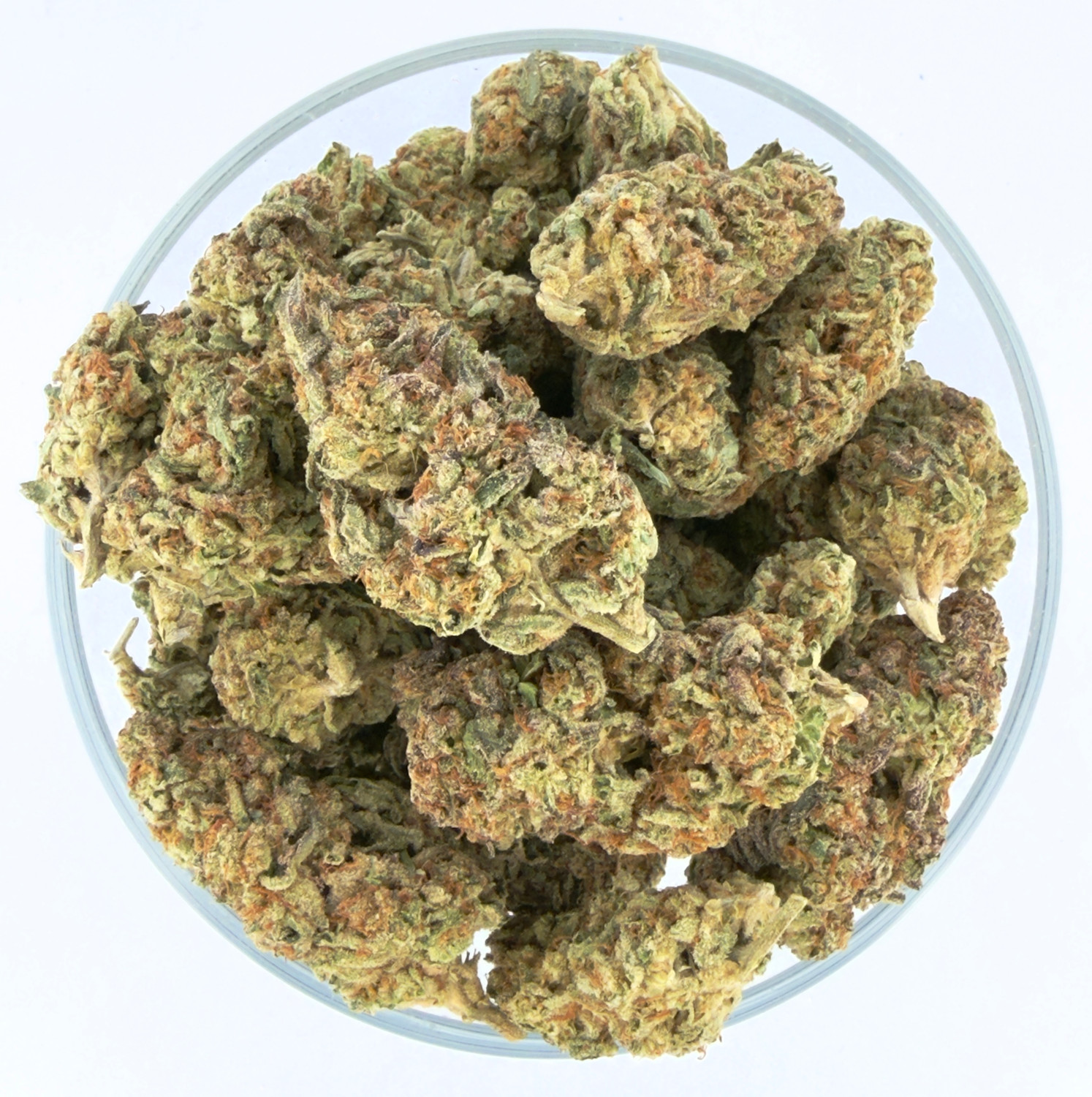 THCa Buds & Flower -Light Dep - Violet Fog 7G